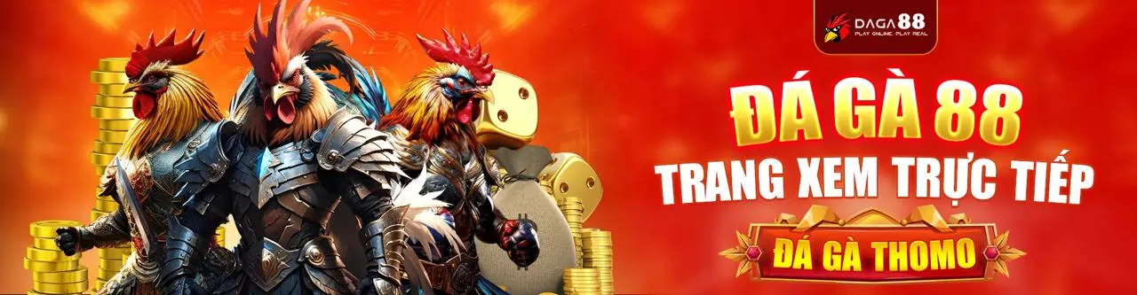 Sân đấu gà kịch tính tại i9bet141 game bài, nơi những chiến kê dũng mãnh tranh tài